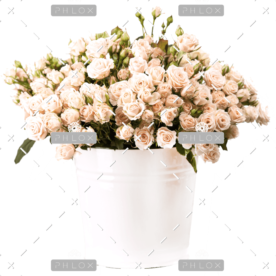 demo-attachment-157-bunch-of-creamy-roses-in-a-bucket-over-white-PLJ554Y-e1585206356671