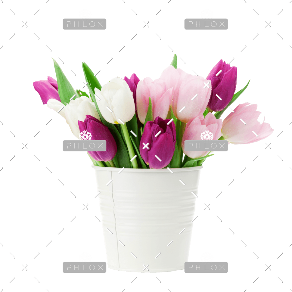 demo-attachment-167-colorful-tulips-bouquet-NFESY4P-copy-1