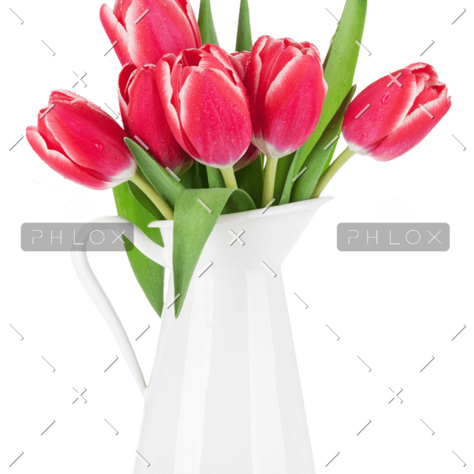 demo-attachment-99-red-tulip-flowers-bouquet-P85CFN2-e1585207182450